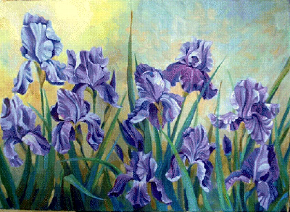 Timothy Easton irises