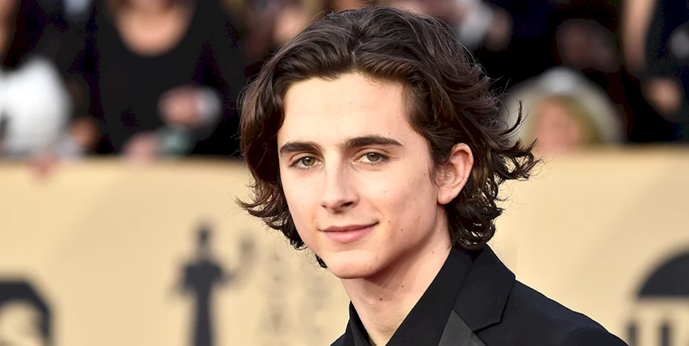 Timothee Chalamet 2022
