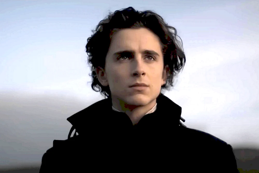 Timothy Shalame Dune