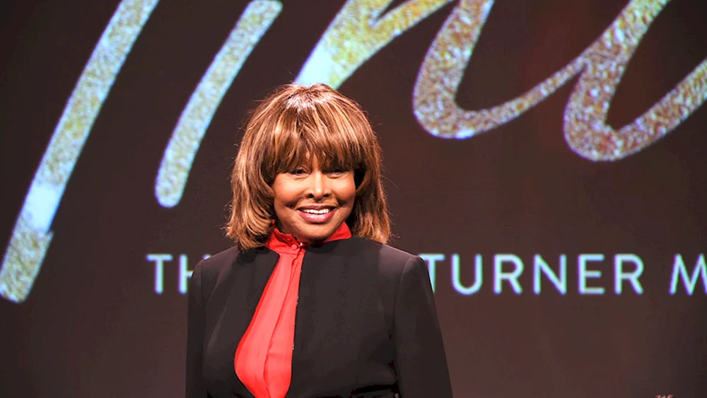 Tina Turner Sängerin