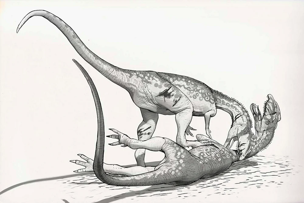 Tyrannosaurus und Diplodocus