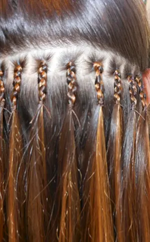 Point Canekalon Afro Extensions