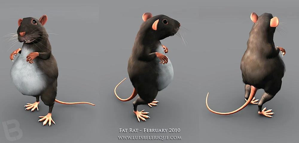 Großer Hamster