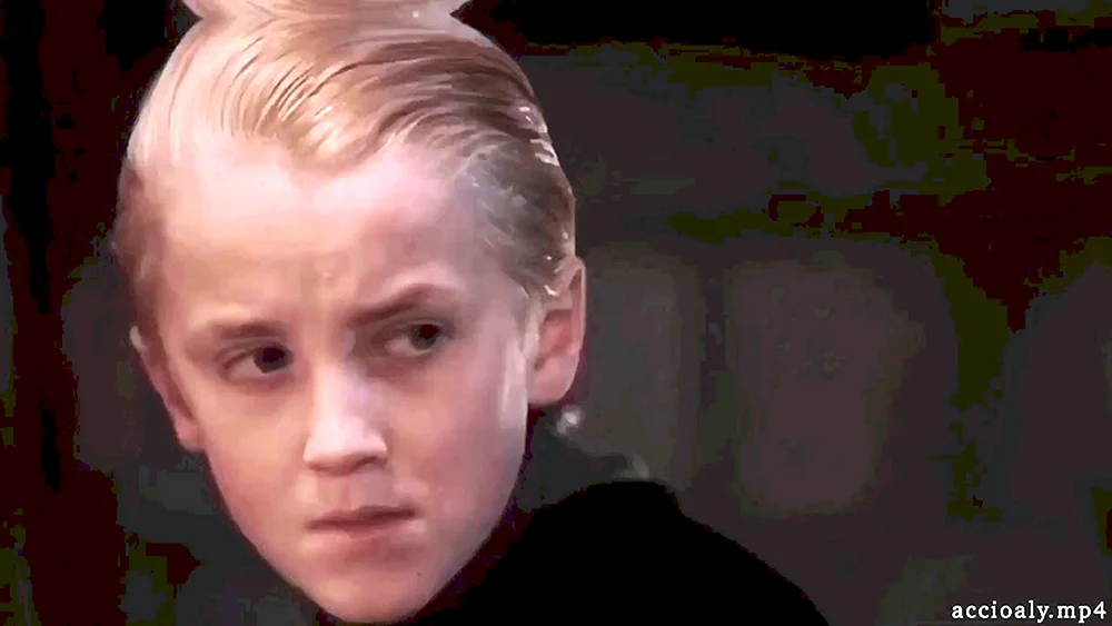 Draco Malfoy 2002