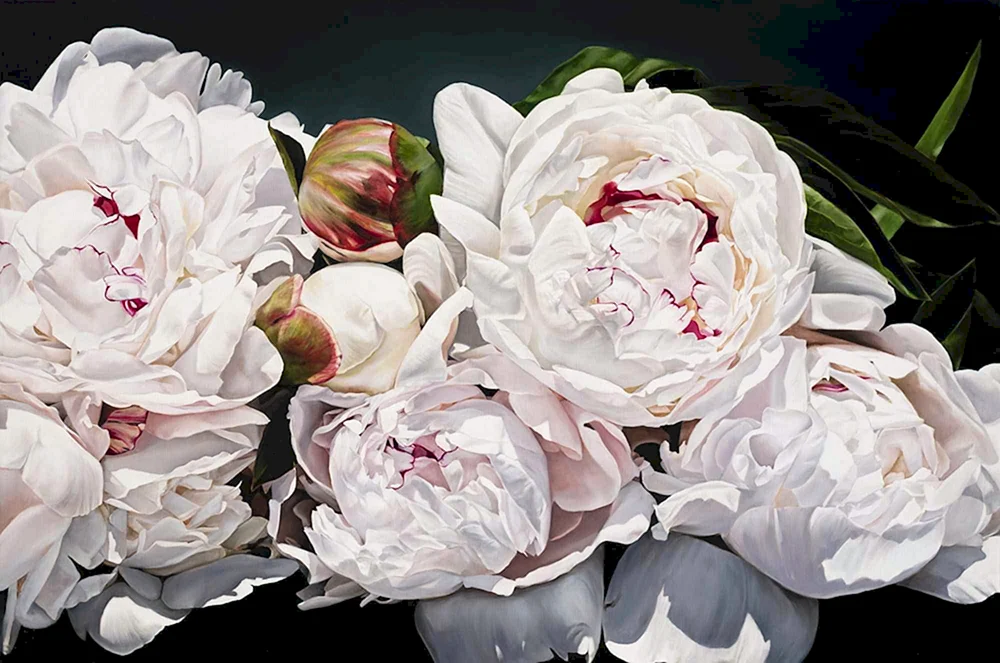 Thomas Darnell Pfingstrosen