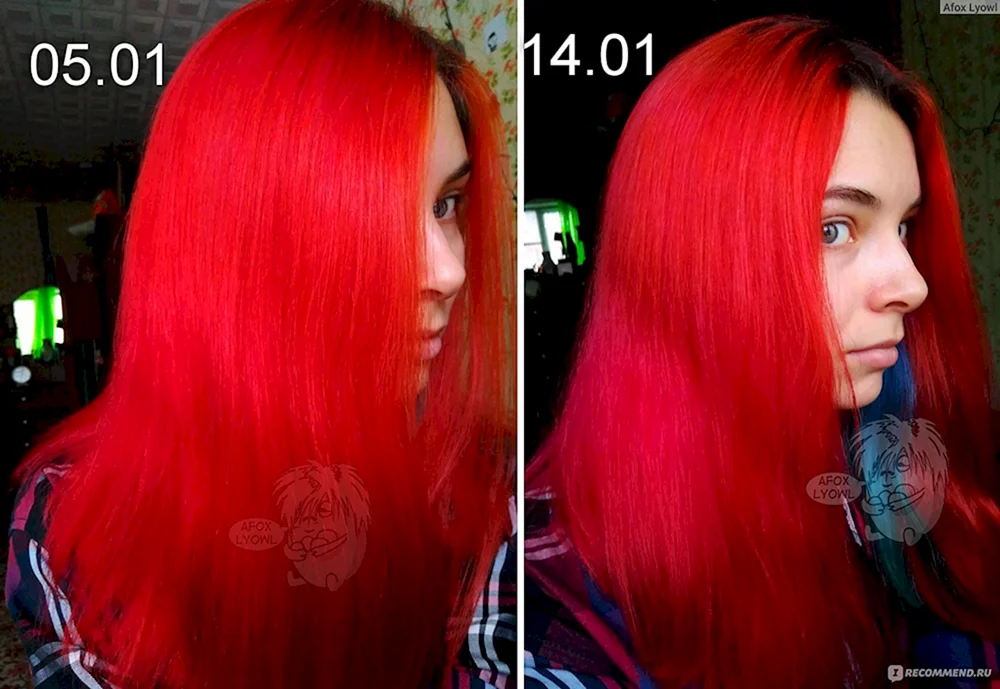 Tonika 5.35 rot bernstein