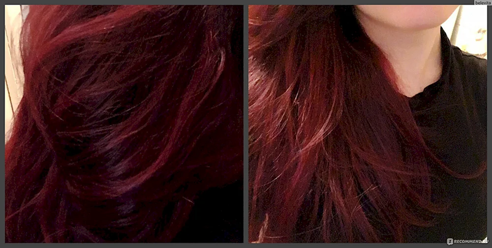 Tonika 4.6 Bordeaux Rubinrot