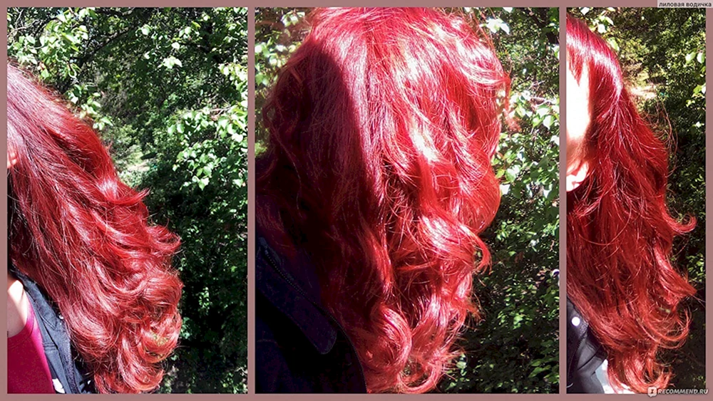 Garnier Color Shine