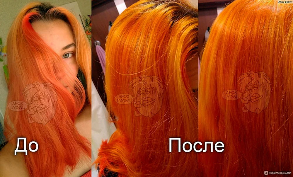 Tonic bordeaux 4.6