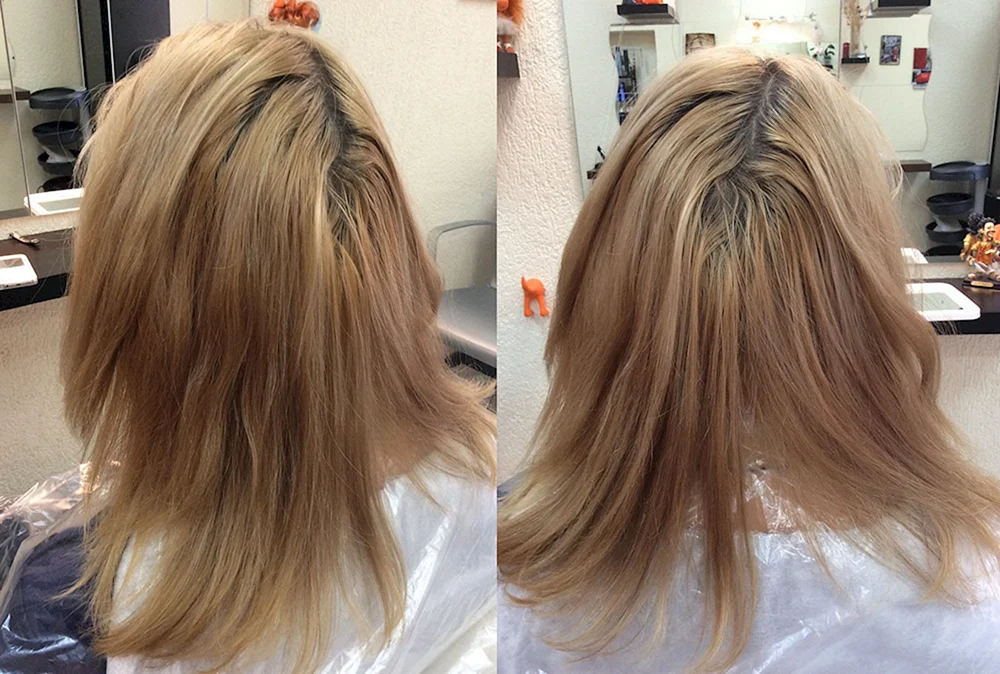 Tönung Haar beigeblond
