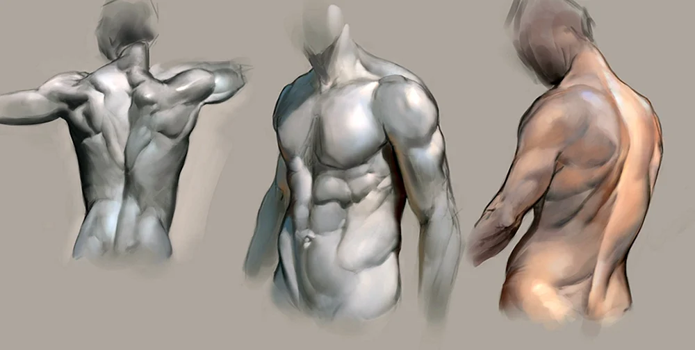 Hand up Pose Referenz