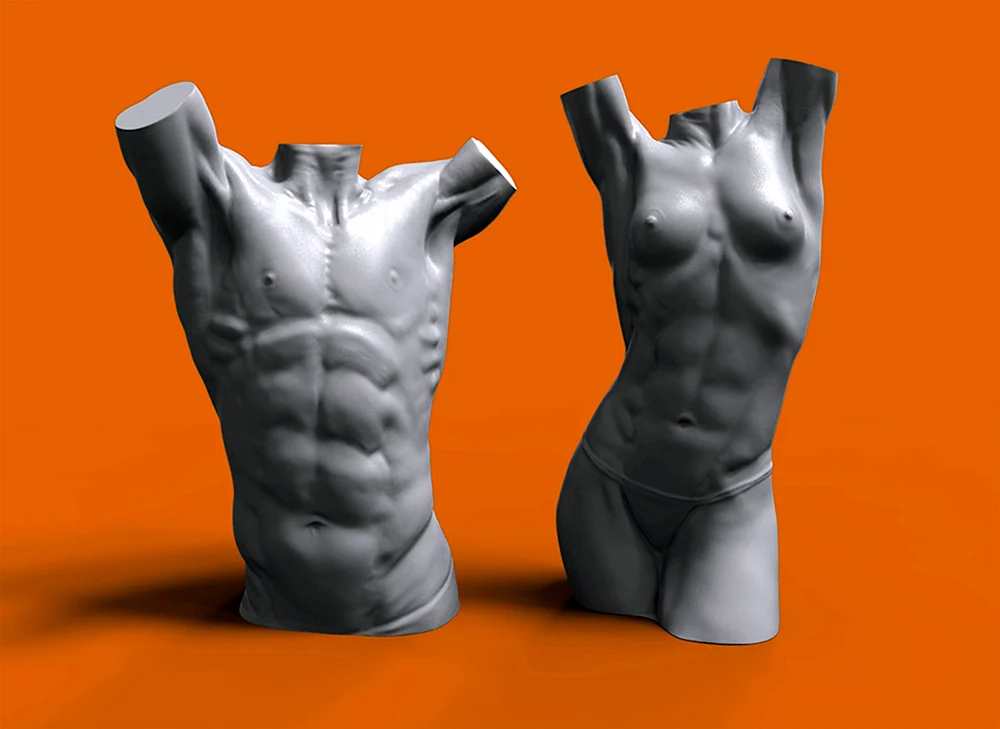 Menschliche Poly Lowe Topologie für 3d Modellierung