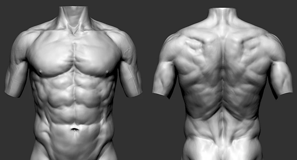Zbrush 3d