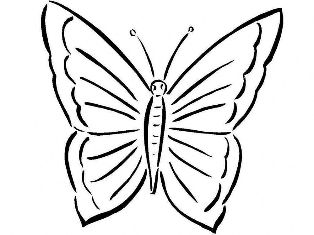 Schmetterlingssilhouette