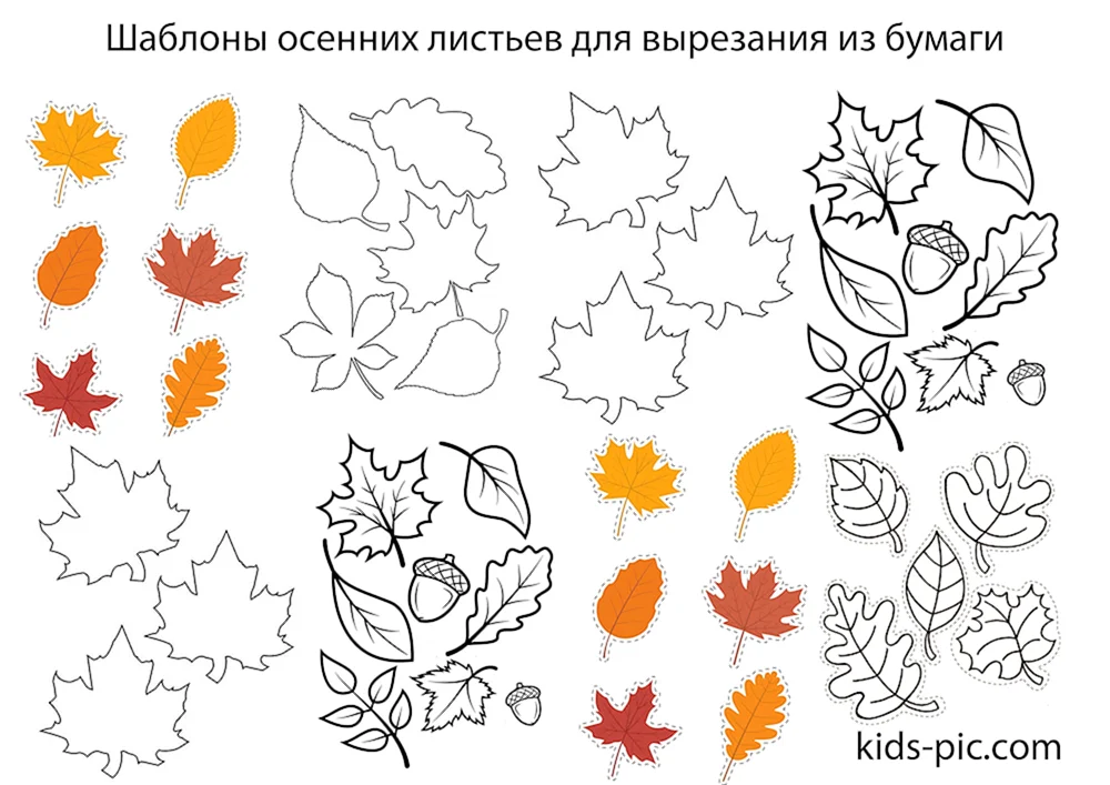 Herbstblätter Schablone