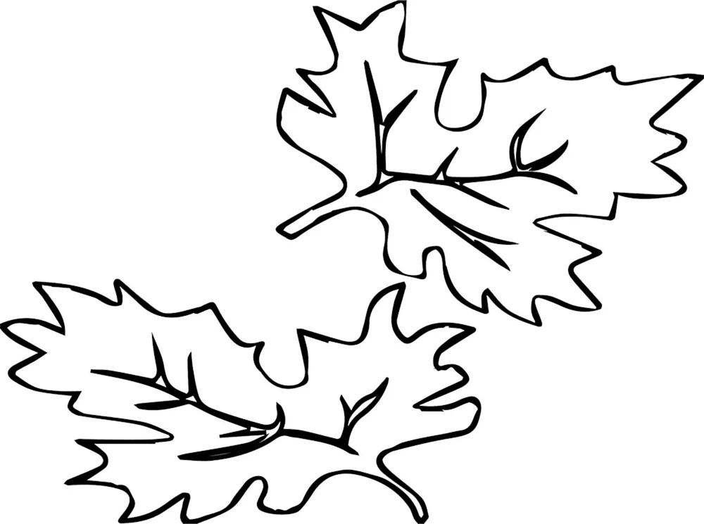 Herbstblätter zum Ausmalen