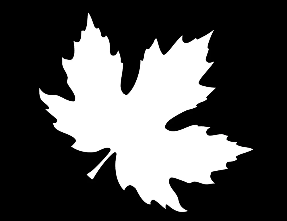 Ahornblattumriss