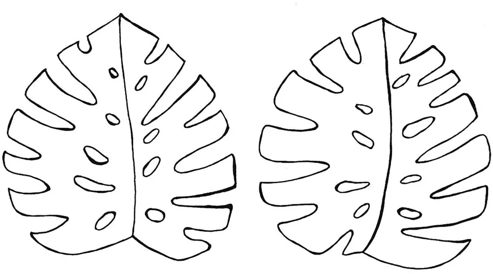 Blattumriss