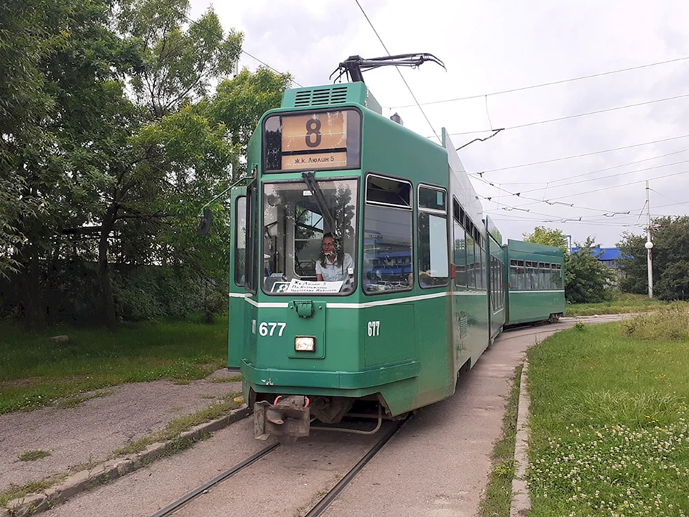 Straßenbahn Foto