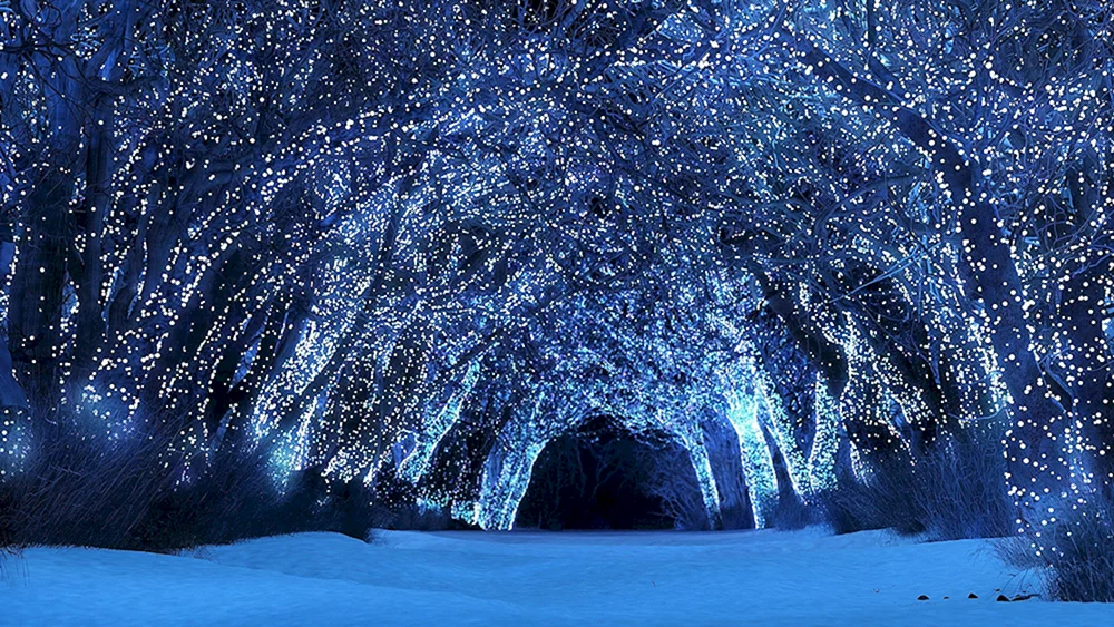 Winter schnee