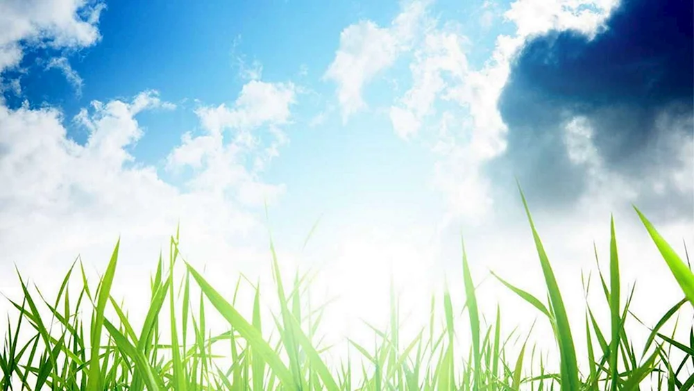 Gras und Himmel