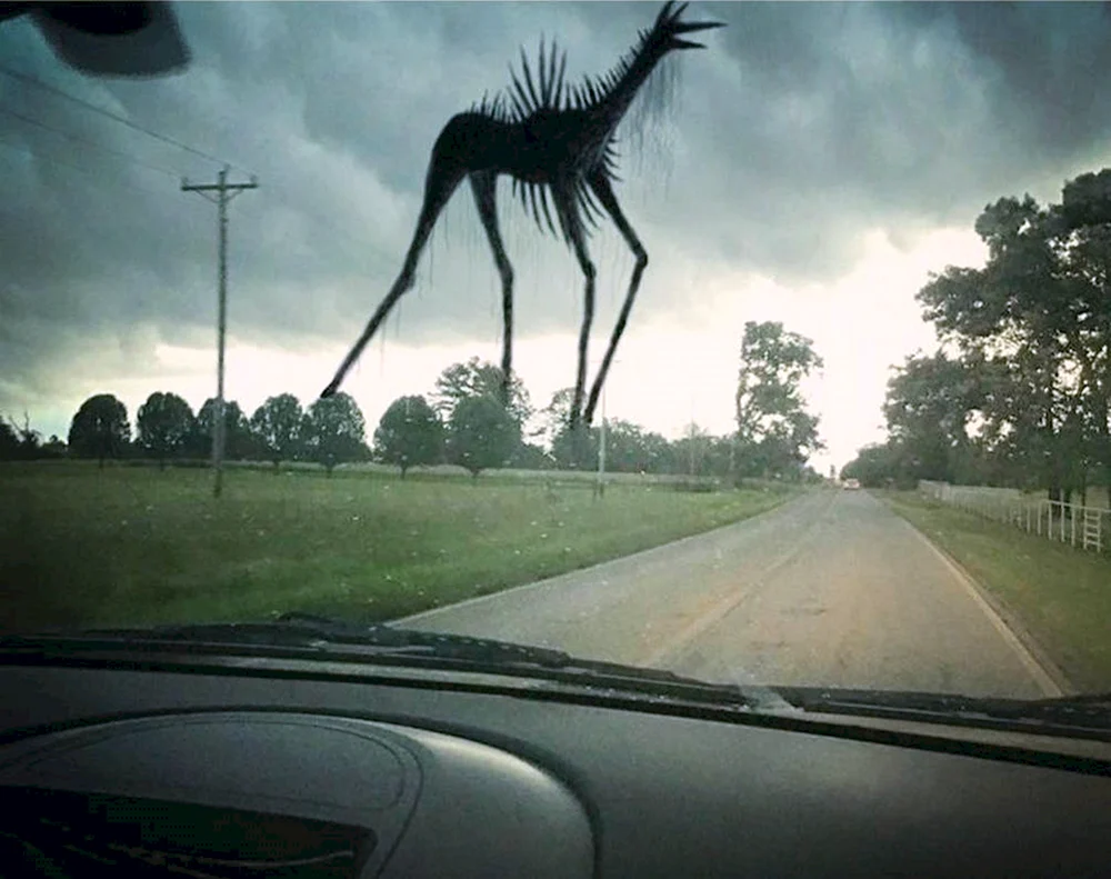 Trevor Henderson Monster