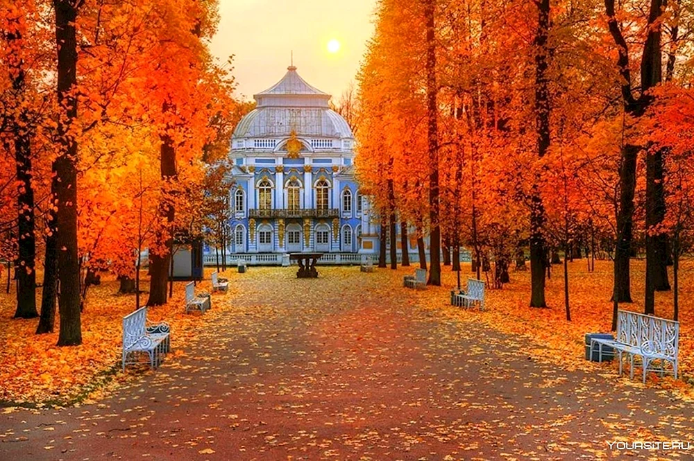 Herbst St. Petersburg Herbst Newa