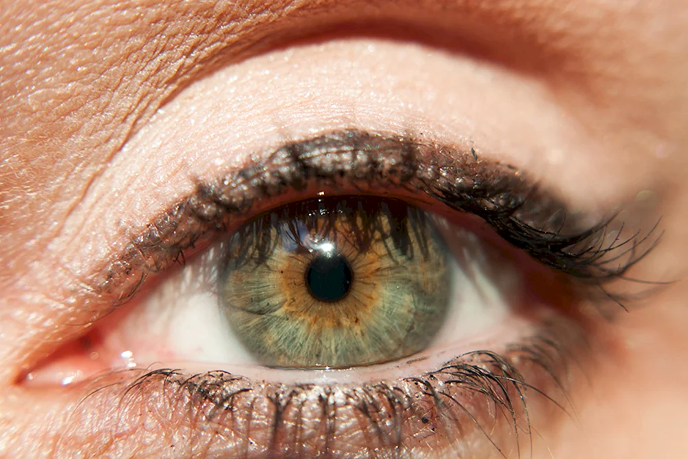 Grün braune Augen