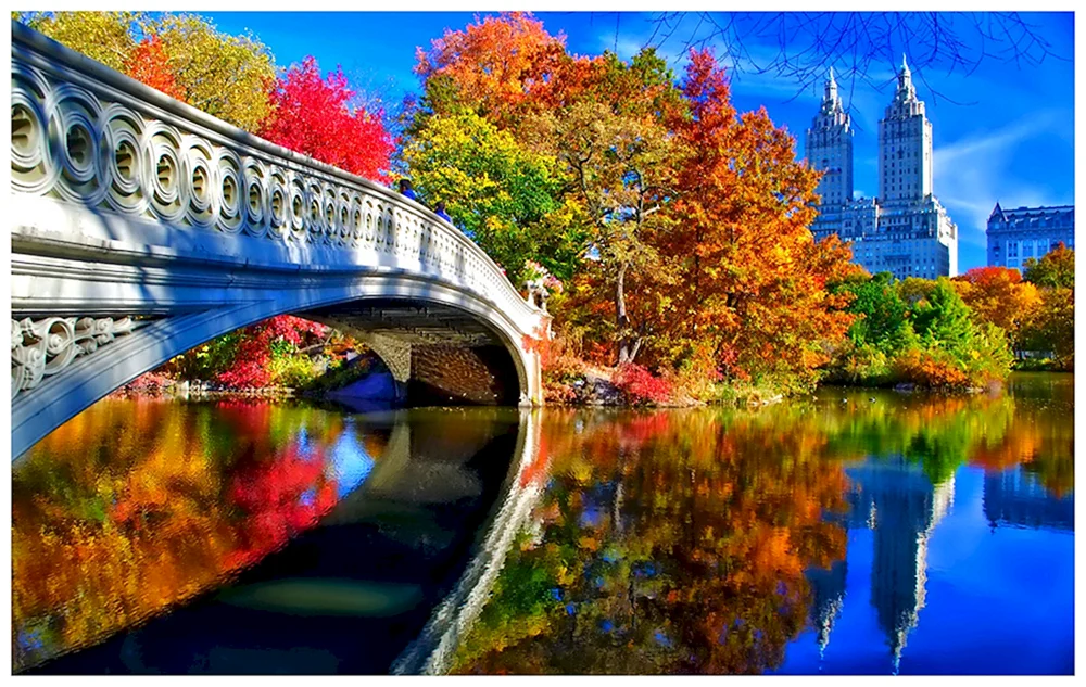 Central Park New York City York