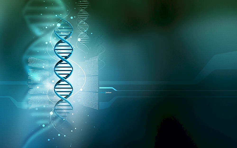 DNA-DNA-Strang