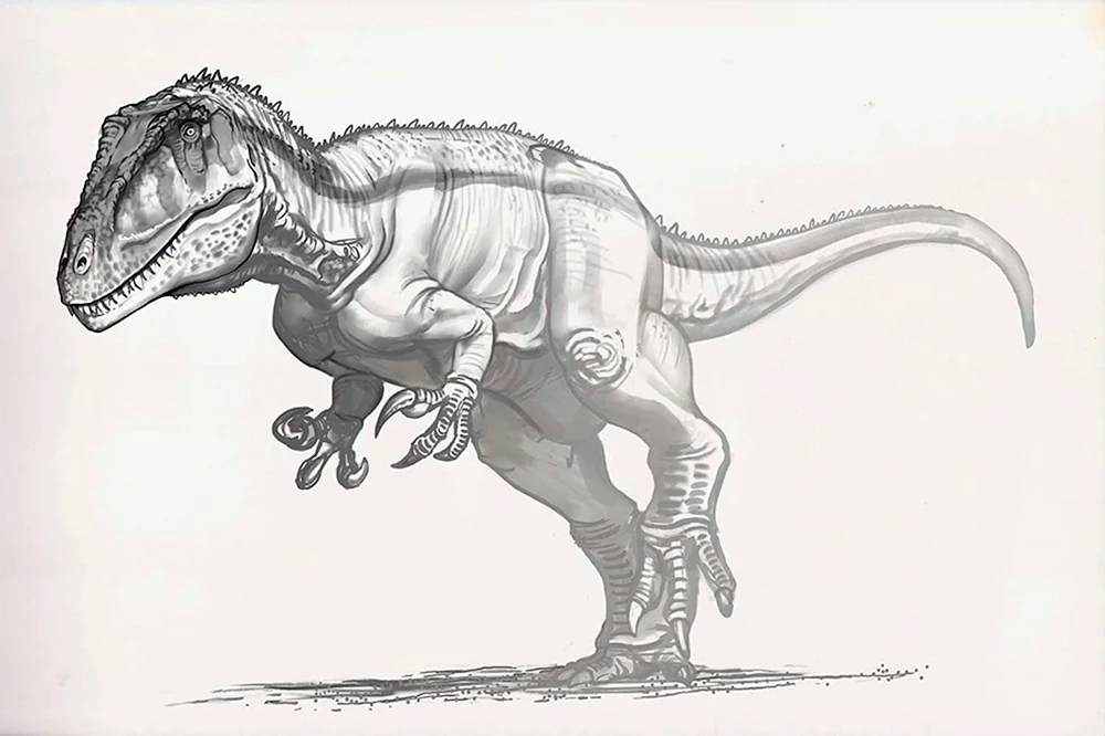 Ceratosaurus Referenz