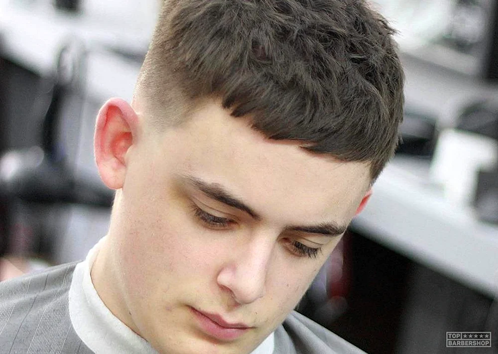 Caesar Fade Cropped