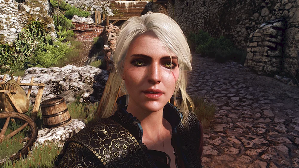 Tsiri The Witcher 3