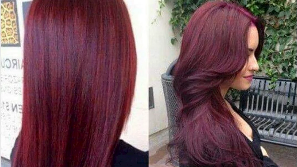 Mahogany Mahogany Mahogany Haarfarbe 5546