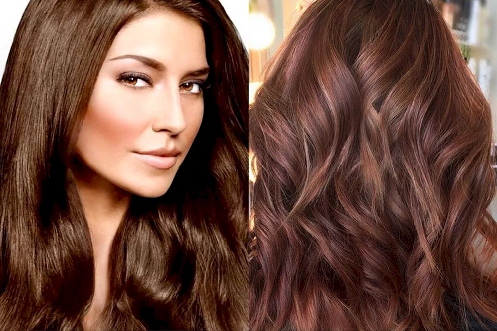 LOreal Haarfärbemittel Gießen Creme Gloss