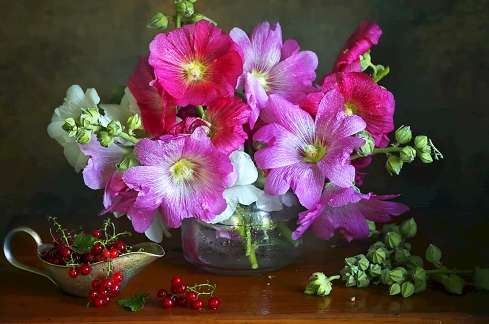 Malvenblumen