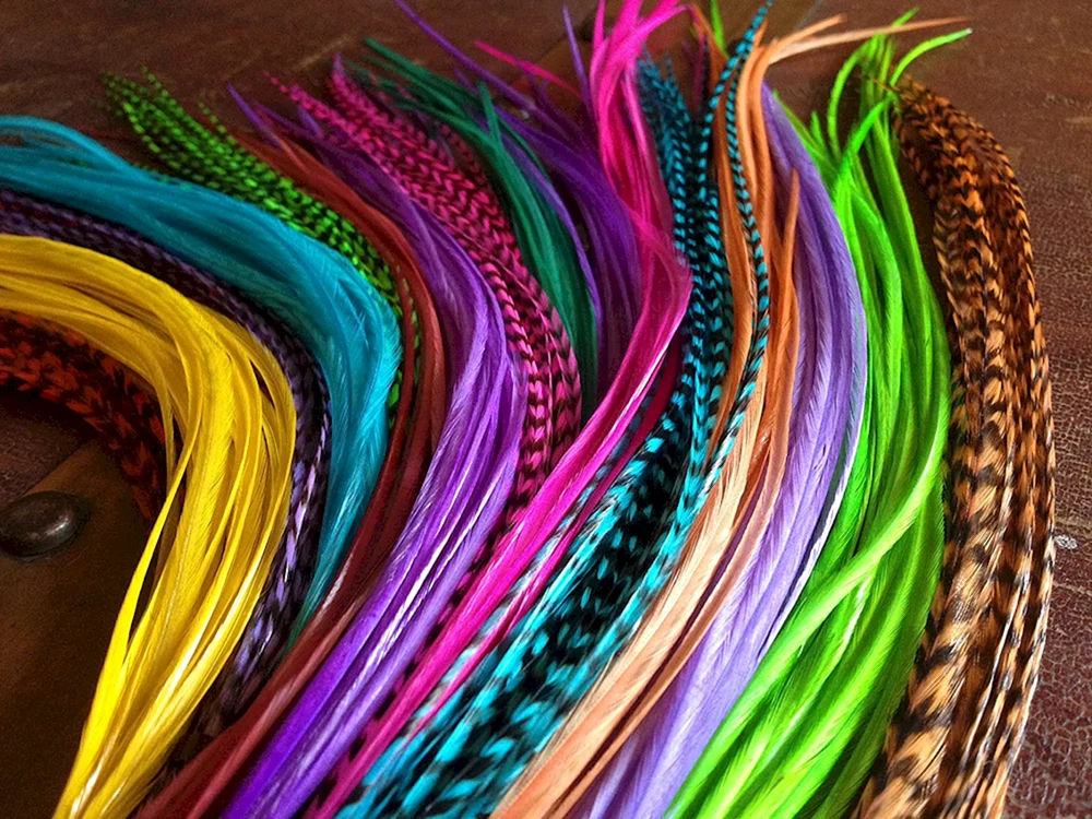 Bunte Federn im Haar