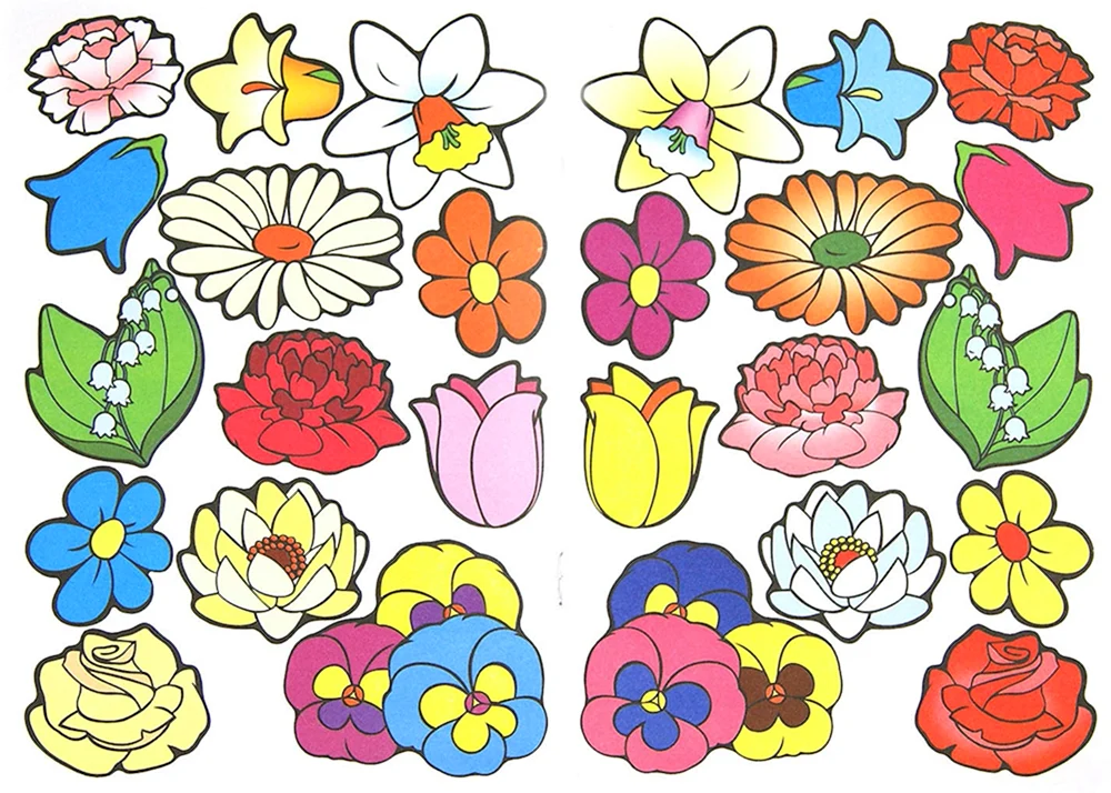 Botanische Blumenillustrationen Wildblumen