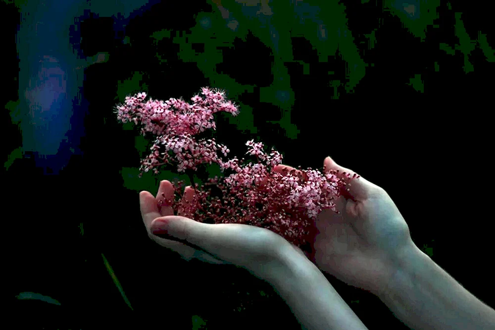 Blumen-Ästhetik