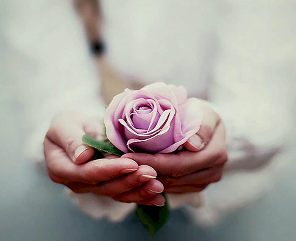 Blume auf dem Arm.