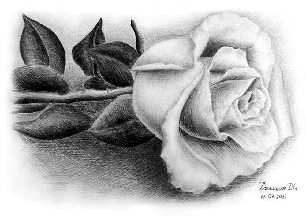 Schöne Blumen zeichnen mit Bleistift