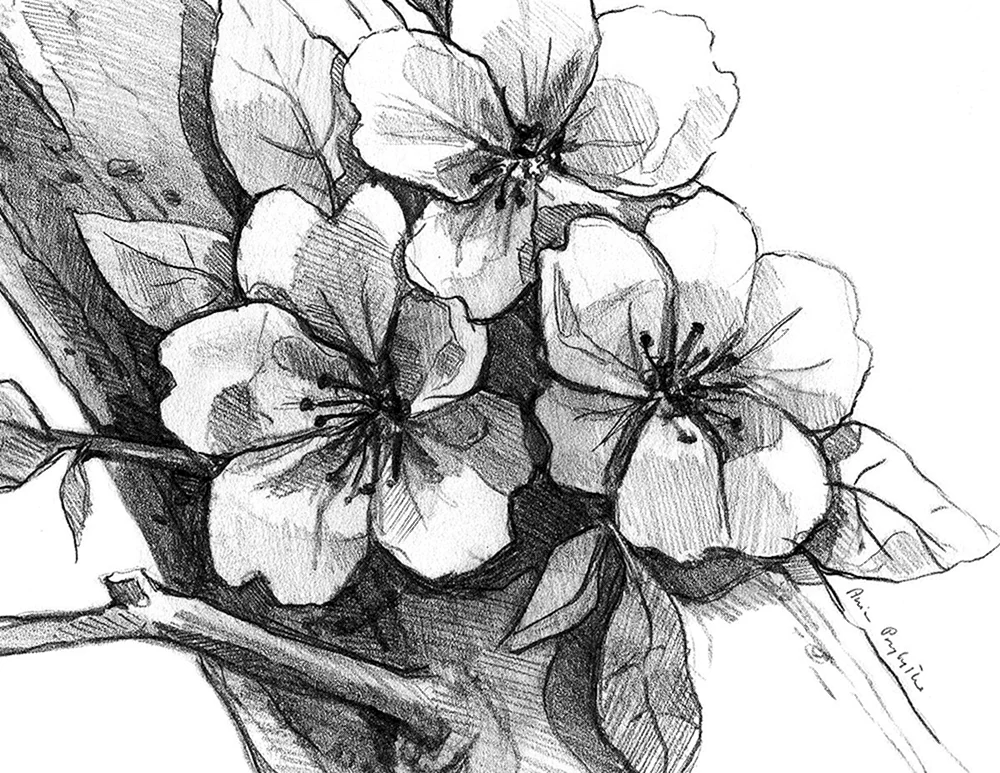 Einfache Blumen zum Zeichnen