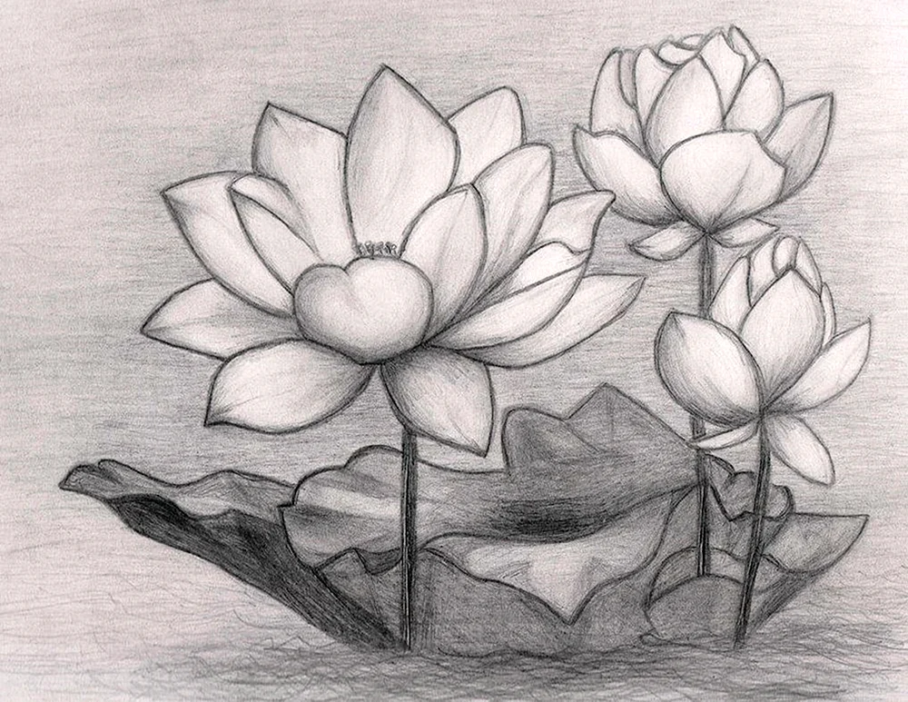 Blumen mit Buntstiften