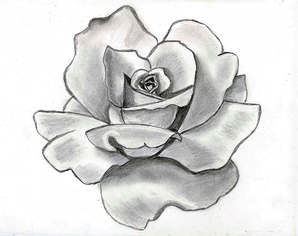 Blumen zum Zeichnen
