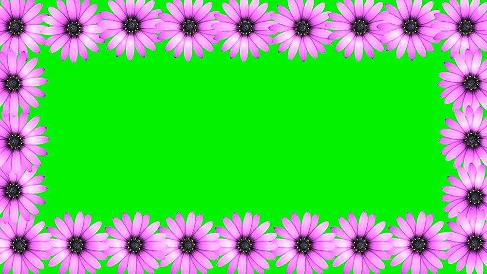 Green Screen Chromakey