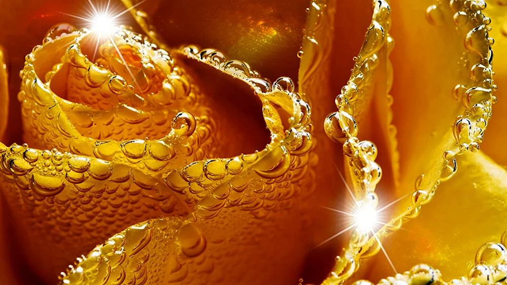 Schwarzer gelber Hintergrund
