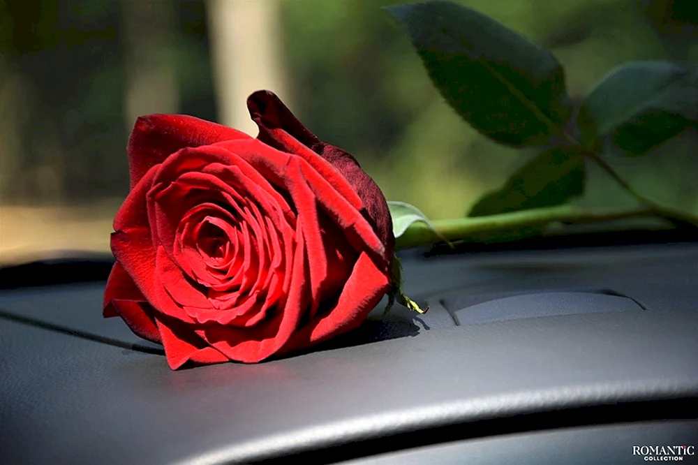 Blumenstrauß im Inneren des Autos