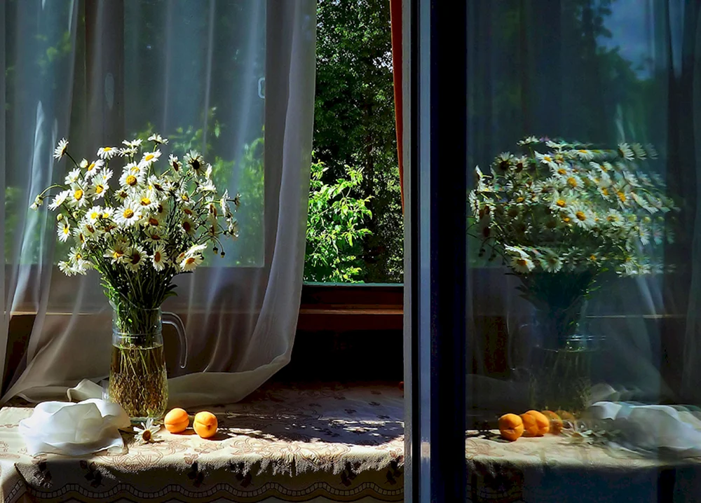 Blumen am Fenster