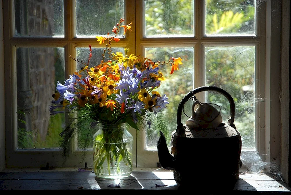 Blumen am Fenster