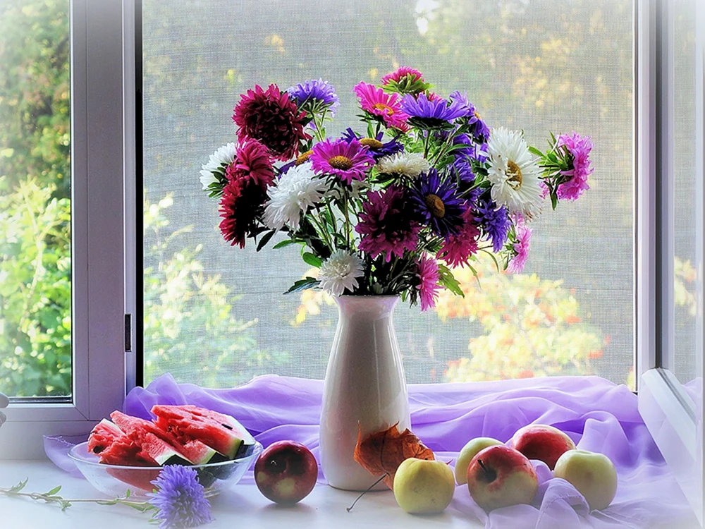 Blumen am Fenster